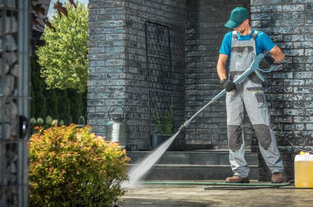 Best Roof Washing  in Fredonia, NY